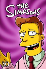 The Simpsons: Season 30