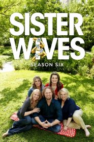 Sister Wives: Season 4