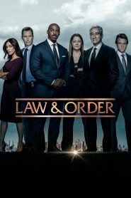 Law & Order: Season 22