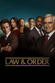 Law & Order: Season 23